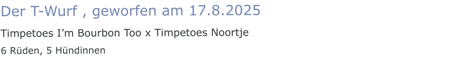 Der T-Wurf , geworfen am 17.8.2025 Timpetoes I’m Bourbon Too x Timpetoes Noortje 6 Rüden, 5 Hündinnen